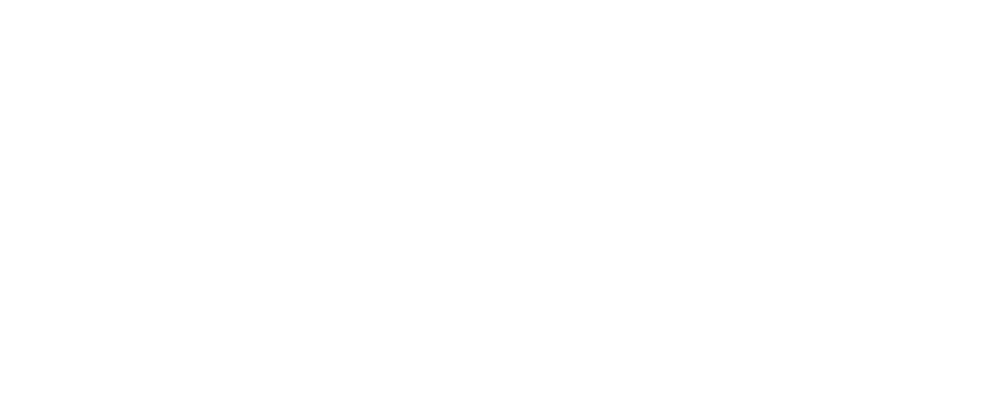 Integration Partners